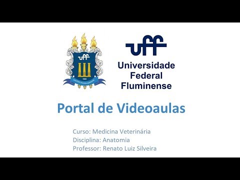 Saiba como fazer terapia na UFF  Universidade Federal Fluminense